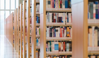 一朝被蛇咬十年怕井绳的意思 一朝被蛇咬十年怕井绳的出处