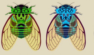 知了壳怎么清洗干净 怎么清洗知了壳