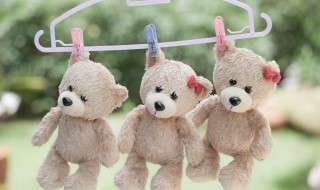 毛绒熊怎么清洗干净 如何清洗毛绒熊