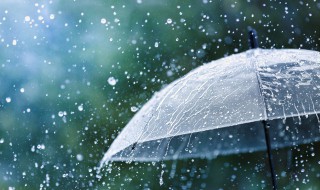 春雨贵如油是什么意思 春雨贵如油意思是什么