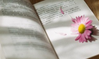 能言善辩的意思是什么 能言善辩是什么意思