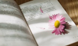 大力出奇迹是什么意思 大力出奇迹的意思是