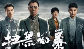扫黑风暴演员表 扫黑风简介