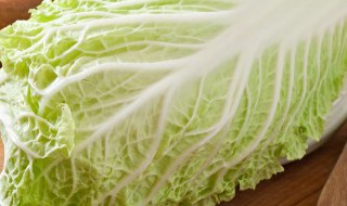 适合在七八月份种的蔬菜 适合在七八月份种的蔬菜有哪些