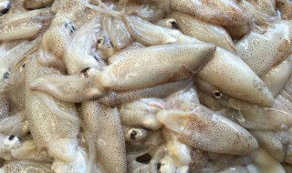 带籽海兔的做法 海兔味道鲜美