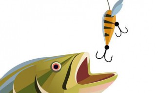 冬季钓鱼酒米绝密配方 民间钓友钓鱼酒米绝密配方