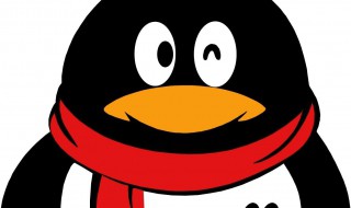 qq动态头像怎么弄 如何设置动态头像