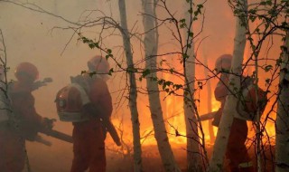 澳洲火灾为什么灭不了 澳大利亚火灾为何如此严重