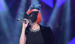 小阿枫是蒙面歌王哪一集 这个结局你猜到了吗