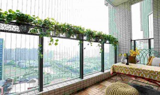 室内不能养的花 你都注意到了吗