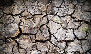 土壤板结的最好方法 简单好用