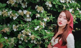 华为大光圈怎么用 华为大光圈的使用方法详解