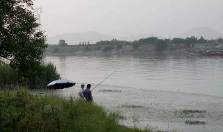 巢湖钓鱼地点 下面七个地方你去过了吗
