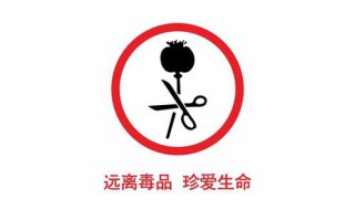 第一个禁毒方针是哪一年 禁毒法什么时候颁布