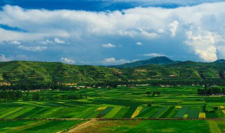 甘肃十大镇经济排名 你的家乡上榜了吗