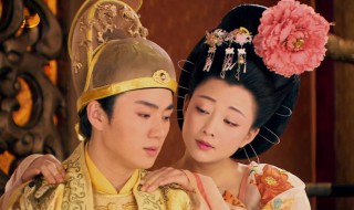 皇帝与妃子接吻吗 对什么的总称