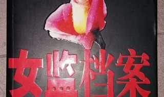 女监档案大结局 女监档案结局