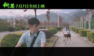 电影秘果大结局 张漾和李珥结婚了吗?