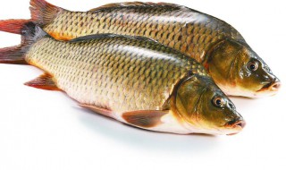 海竿爆炸钩钓鱼技巧 钓鱼方法