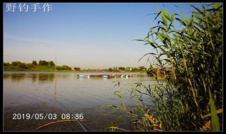 武汉附近2019钓鱼免费地点 有什么鱼类？