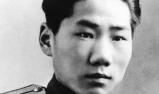 岸英岸青相差几岁 让我们一起来了解一下把