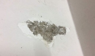 墙反碱掉皮怎么办 最佳的解决方法来了