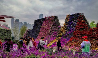 重庆2019花博会地点 重庆2019花博会门票免费