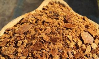 鲫鱼散炮配方 注意事项