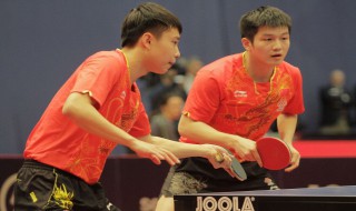 樊振东有多少冠军 樊振东获得世界冠军的次数