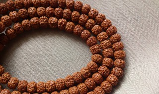 血丝菩提怎么盘 血丝菩提盘玩方法