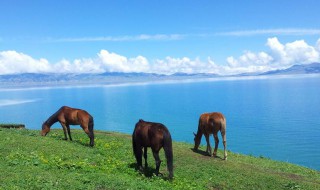 新是哪个省的简称 新的全称