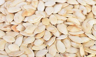 南瓜子十大功效 南瓜子的功效是什么
