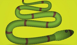 毒蛇泡酒功效 毒蛇泡酒有什么功效