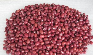 常吃赤小豆的危害 赤小豆的禁忌