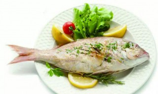 生鱼的功效与作用 黑鱼有什么功效与作用