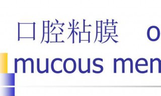 口腔黏膜炎的早期症状 什么是口腔炎的症状呢？