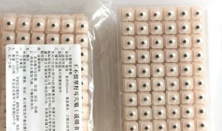 耳贴的功效与作用 你知道吗