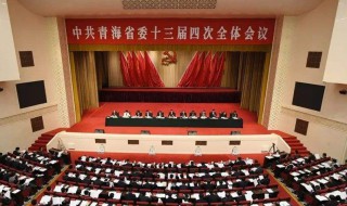 十三届四中全会是哪一年召开的 会议上强调了什么？