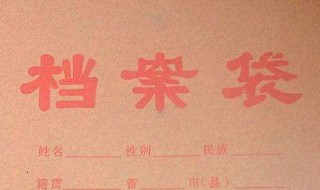 违章档案编号是什么 违章查询档案号是什么_