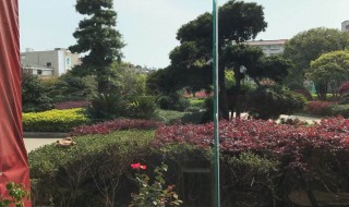 上浦路办居住证到哪里办 上浦路居住证办理地址