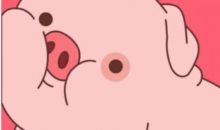 全世界的猪都死了打一歌名 全世界的猪都死了至少还有你