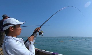出海钓鱼技巧 钓鱼要准备什么
