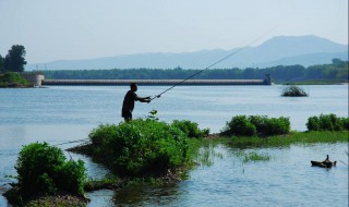 涨水怎么钓鱼 涨水的时候怎样钓鱼效果较好