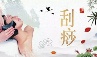 每天坚持面部刮痧好处多多 每天坚持面部刮痧有什么好处