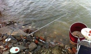 11月能钓白条吗 入冬还能钓白条鱼吗