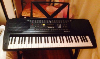 新韵电子琴入门教程 6步快速学会