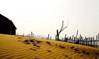 双旗镇刀客大结局 黄沙漫天 马嘶人怒