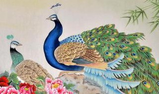 工笔孔雀画法步骤 工笔孔雀画法详解