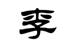 李姓和哪个姓氏一家 李姓的起源与演变