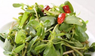 降血糖最快的菜 什么菜降血糖快